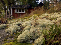 Early autumn 2005